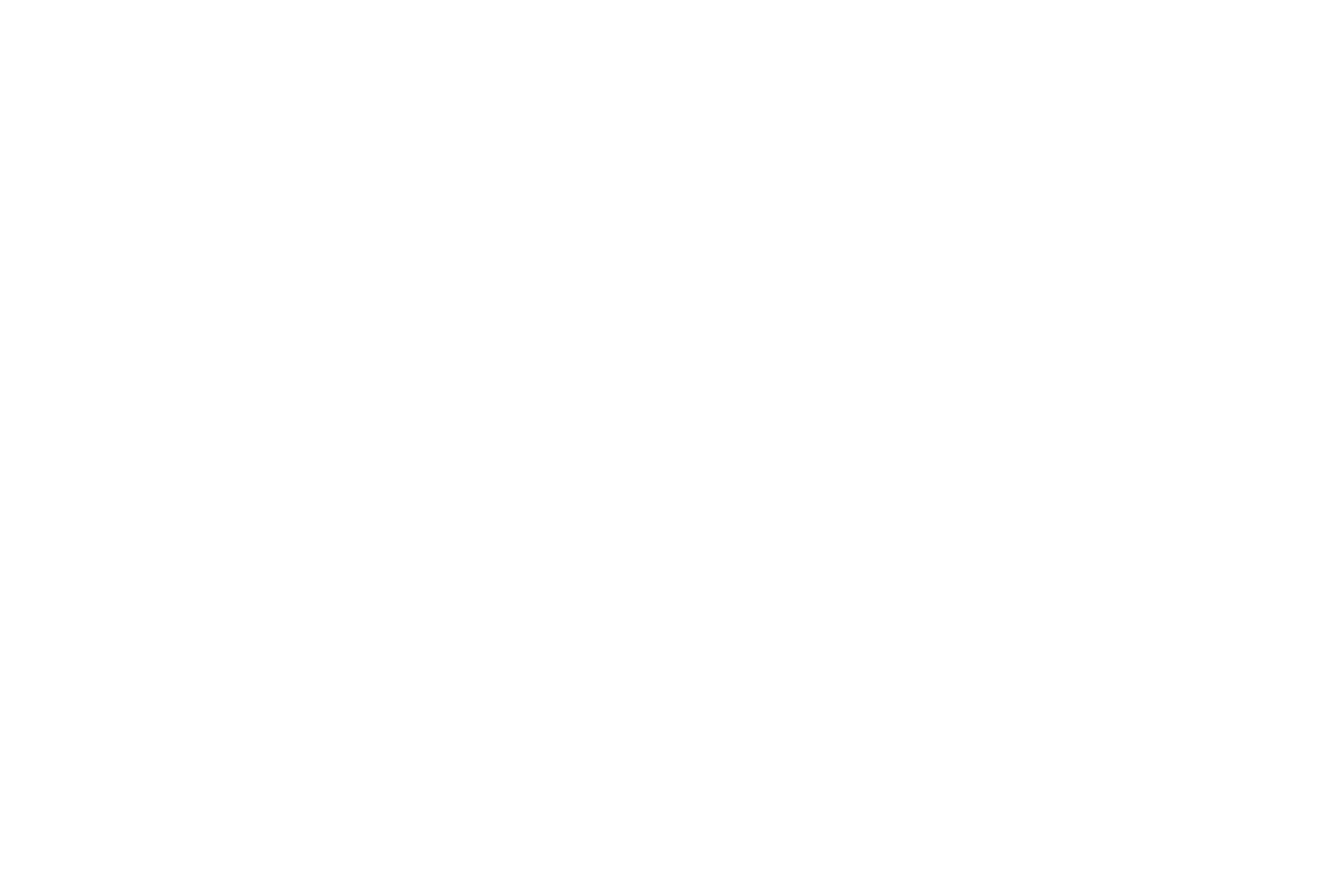 Showcase Sticks❣️イチロールーキー❣️GAME-USED BAT❣️ NEW Controlling the Game CTG 172 Pro Stock Black Ash 33